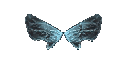 Wings of Elf +7