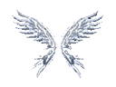 Wings of Soul +13