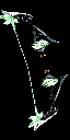Albatross Bow +7