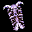 Skull Shield +9